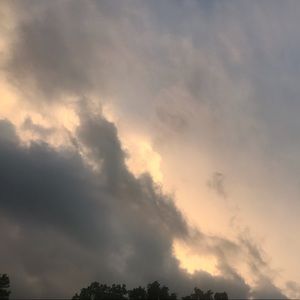 Meet your Posher, Nina